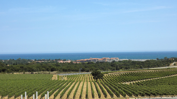 Résidence Port Argelès : Appartements meublés en revente à Argelès-sur-Mer - Sefiso Aquitaine